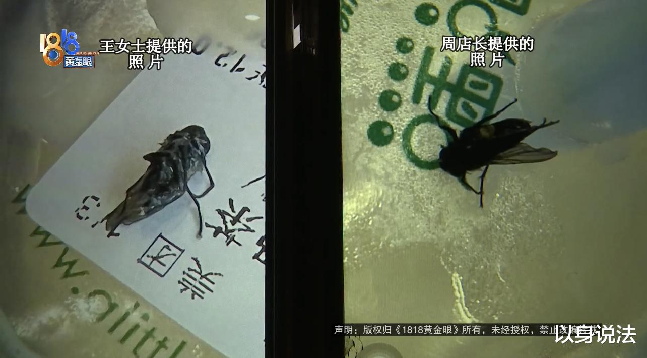 浙江杭州,女子喝奶茶时发现奶茶内有苍蝇
