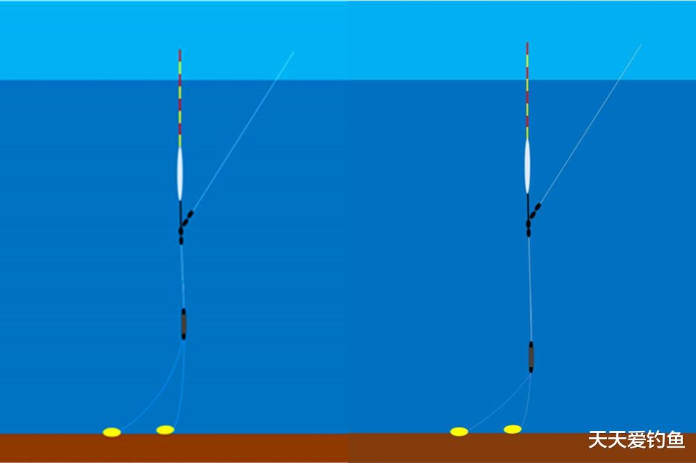 饵料|钓鱼调漂：如何知道一饵到底？双饵到底？铅坠到底？