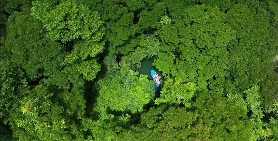 江苏省|推荐 | 荔波到底有多美?吸引千万粉丝博主房琪二度打卡