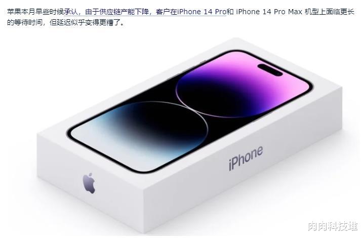 苹果|苹果iPhone 14 Pro/Max机型发货时间延迟六周左右