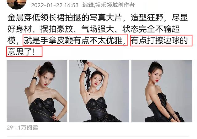 金晨|金晨穿低领长裙拍大片，“手握皮鞭”惹争议，被质疑打擦边球