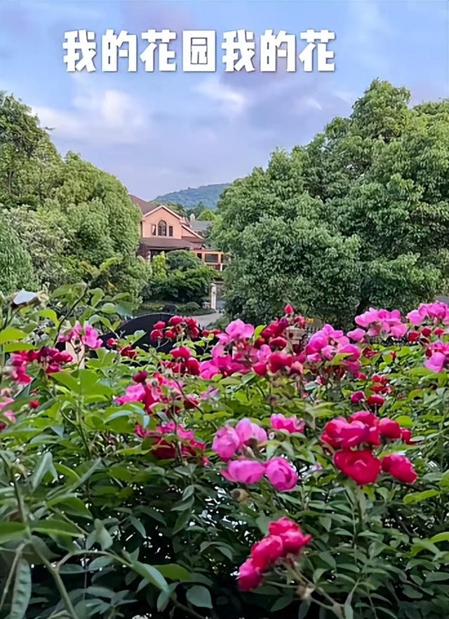 范明 范明在家带孙子累到脸通红，64岁富婆妻子颜值惊艳