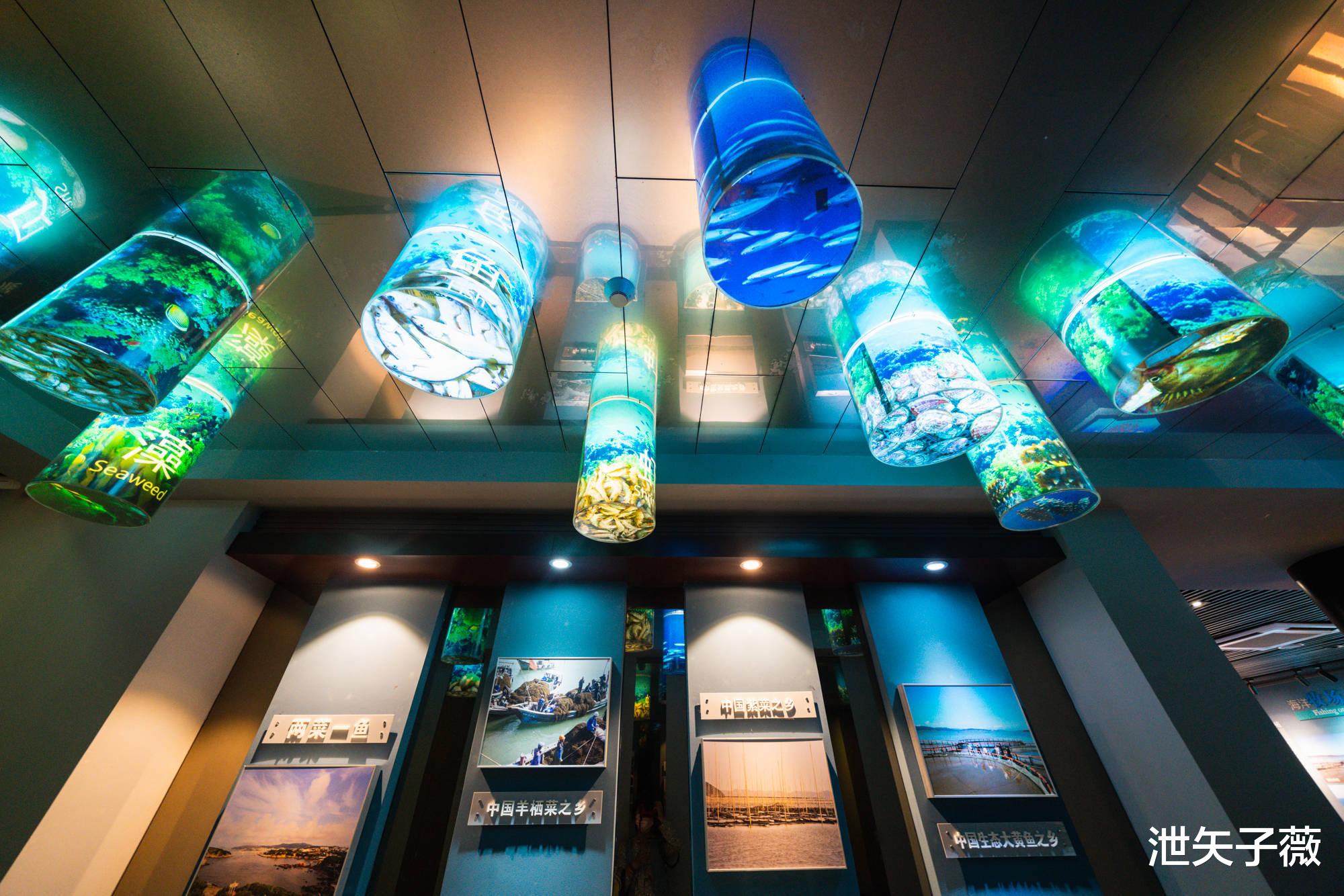 洞头|走，我们去洞头，看看这个百岛洞头究竟有多美……