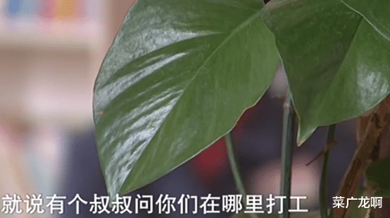 案例回顾:男子遭汽油焚尸,一家三口全部入狱,凶手:都怪嫂子重婚