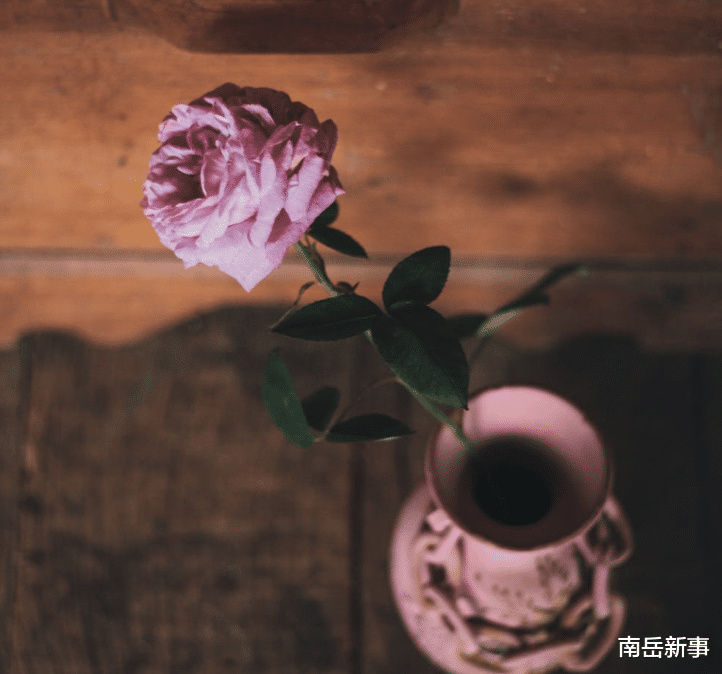 杨丞琳|甜馨十岁生日，贾乃亮李小璐分别晒照，暴露离婚夫妻最体面的关系