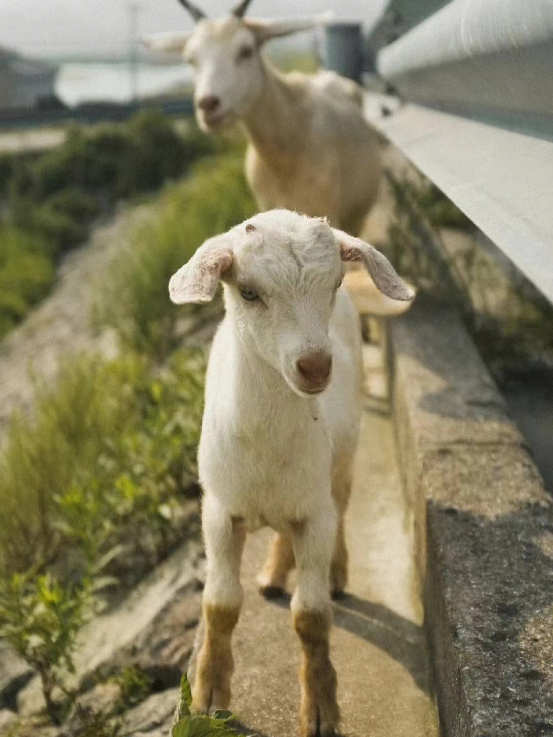 露营|秋天已至,又可以露营了!宁波三个值得一去的小众露营地