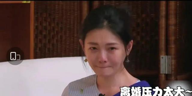 左小青|7对突然离婚的中年夫妻，娱乐圈模范夫妻的狗血生活