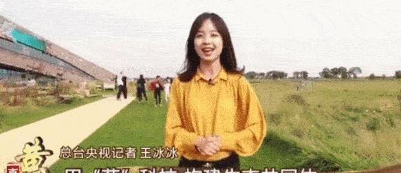 王冰冰|“国民初恋”王冰冰塌房：“32岁离过婚，在我们村都没人要”