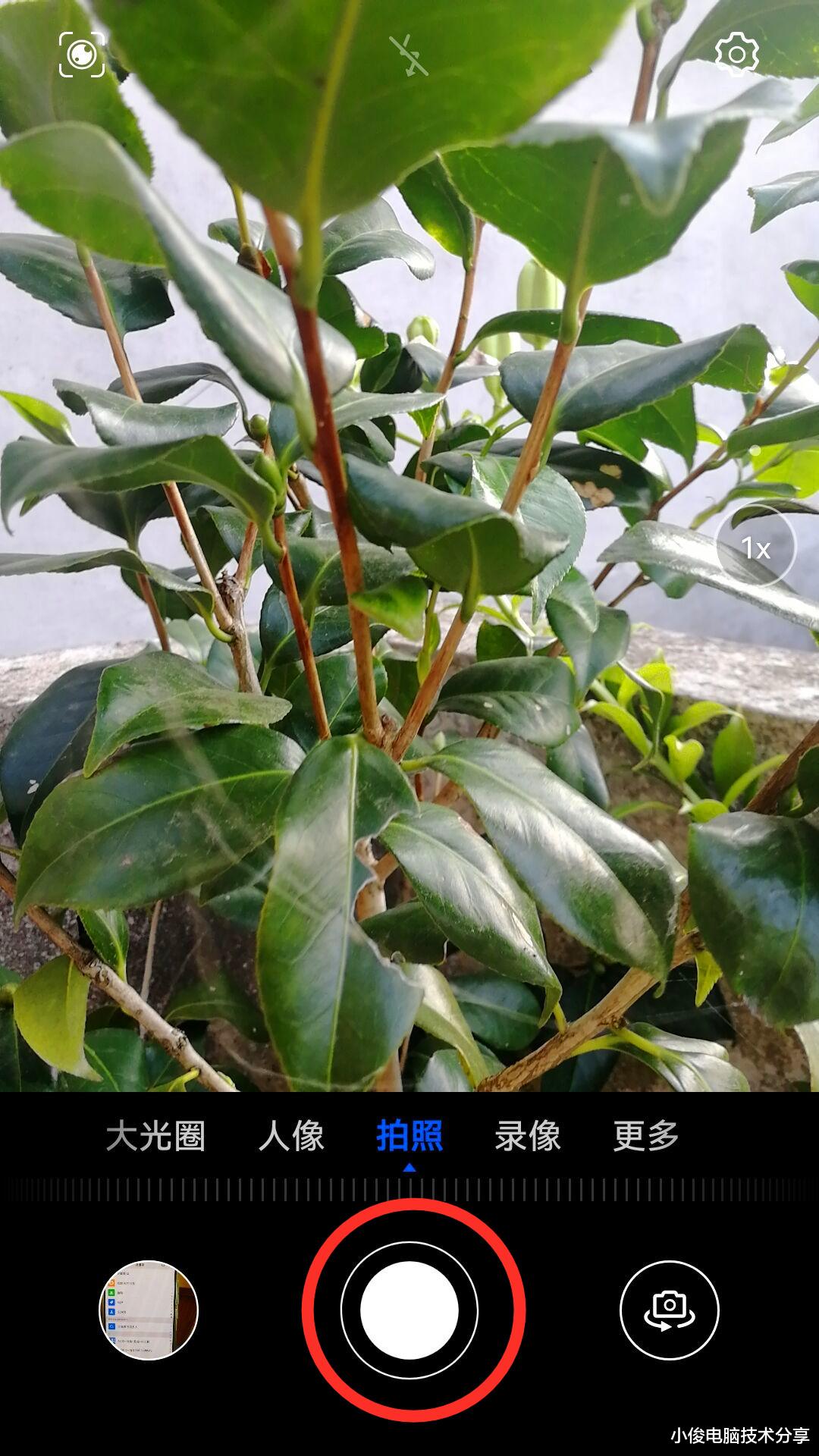 相机|手机拍照时，记得打开这个小机关，拍出来的照片清晰又好看