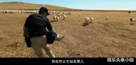 电影|每一个镜头都戳我心，让我们去海的尽头看一看！