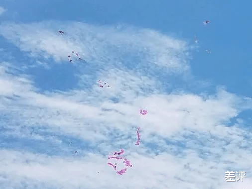 摄像头|怎么看了场灯展，回家手机摄像头就坏了？