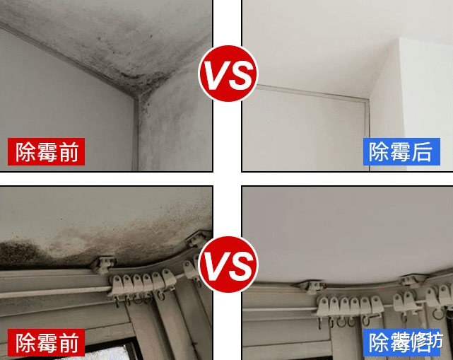 能够清洁全屋的家居用品,常备这5种就够了,价格便宜还实用