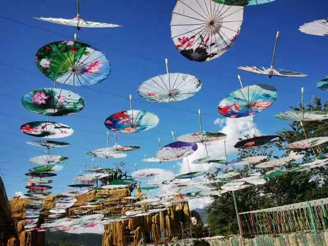 向导|云南易门花果山欢乐谷野生菌节让你嗨好、玩好