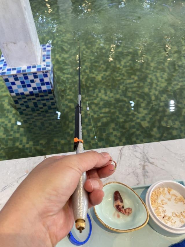 |新年新体验,新鲜又过瘾!