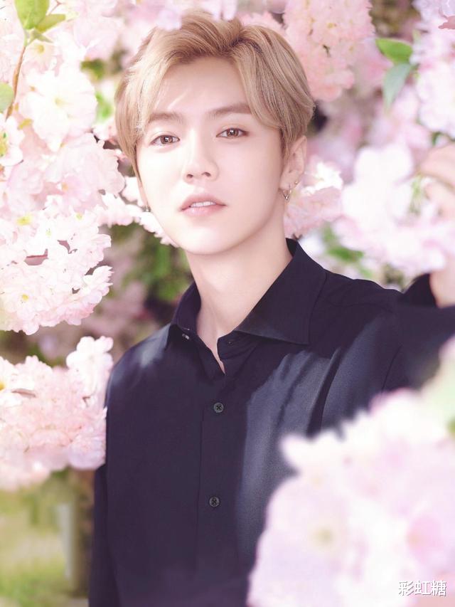 赵丽颖|深夜买醉，与友人一玩就是一夜，事业惨遭滑铁卢的他看开了？