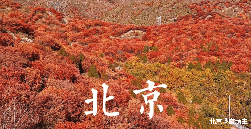 |最美红叶观赏地，独属北京大妞的浪漫，人美景儿美，让您一眼心动