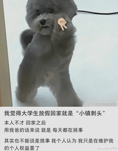 大学生|放假的大学生变身小镇“刺头”，不是在挑事，就是在去挑事的路上