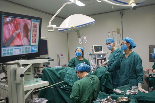 婆婆卖掉儿媳养三年的狗,儿媳打掉腹中三个月胎儿引发血案