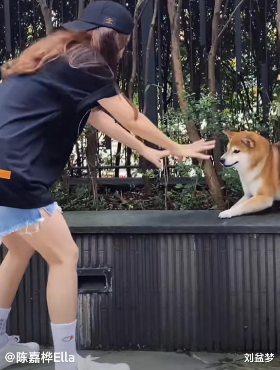 田馥甄|田馥甄教训来了，掉粉200万，歌曲《离岛》被下架，还牵连了Ella