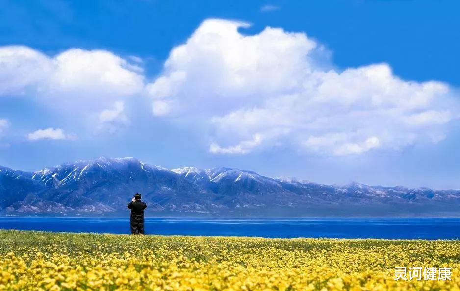 赛里木湖|四月值得打卡的地方有哪些？跟上灵诃的脚步，不要辜负最美的四月天