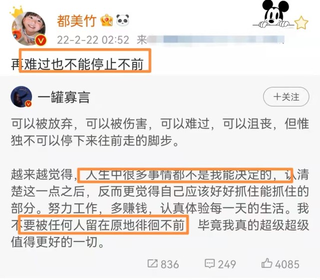 都美竹|都美竹凌晨发文自我安慰：再难过也不能停止不前