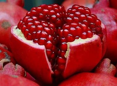 饮食|秋分时节不要忘记吃“3红、3白”这6种食物,只有顺应时节,身体才会更健康