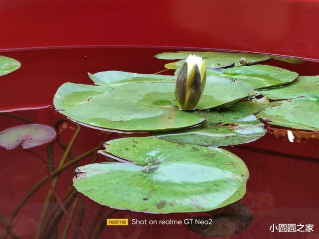 realme|降至1699元，骁龙870+65W+5000mAh，还有64MP三摄