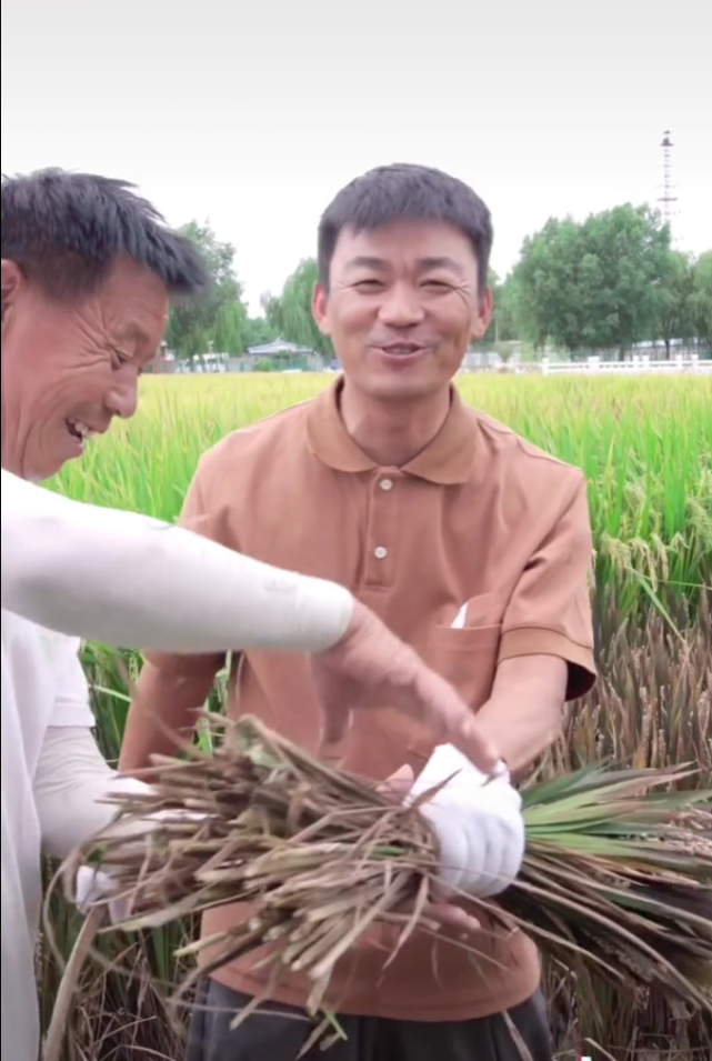 常征|40岁王宝强下农田干活,穿着邋遢满脸憔悴,妻子冯清一旁帮忙