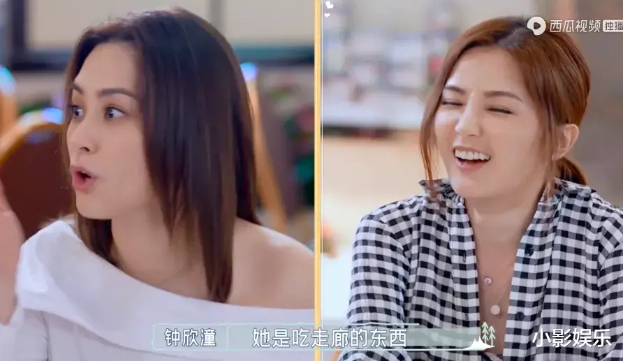 阿娇|她们惹哭了全网