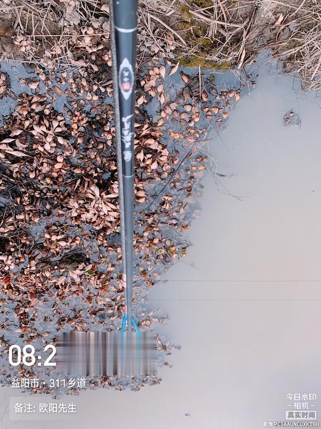 饵料|【钓鱼之家虾粉】平台虾粉真牛逼,野钓电排沟爆连鲫