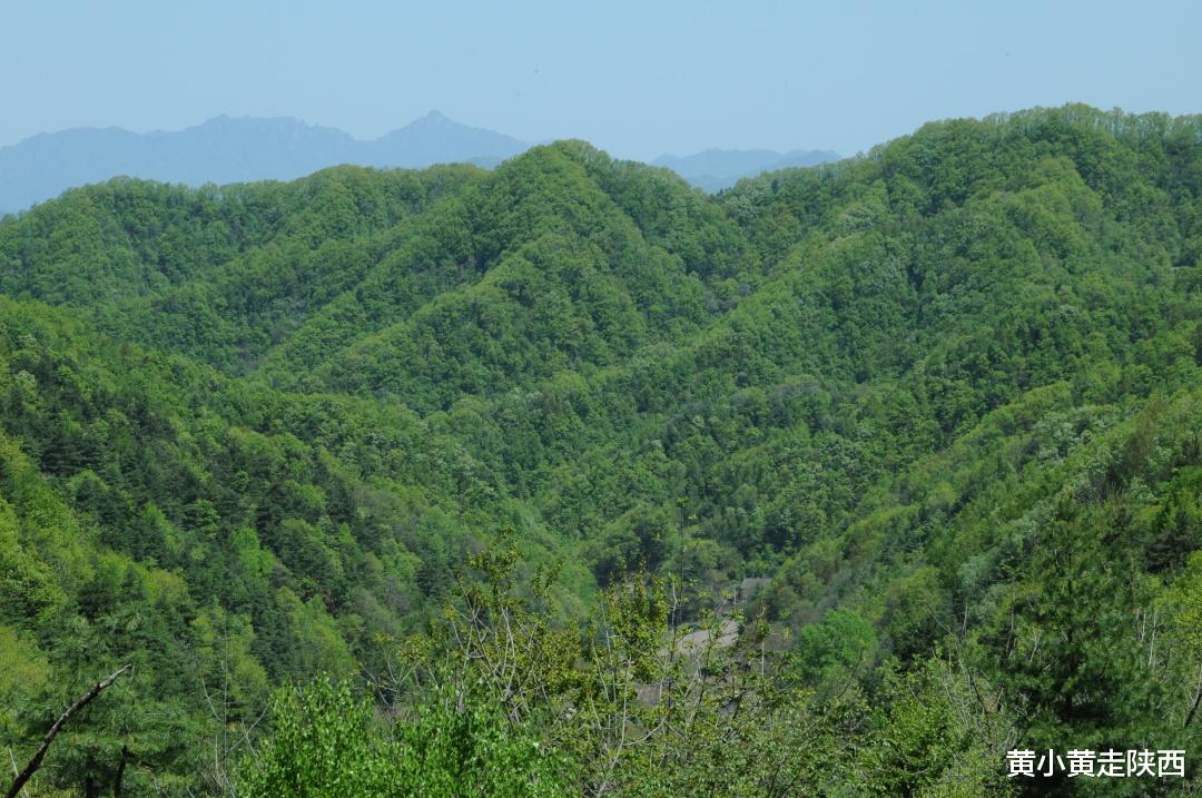 广西|沿乡道穿越秦岭深处，遭遇最后怕路段，让我认识了一座冷门的山！