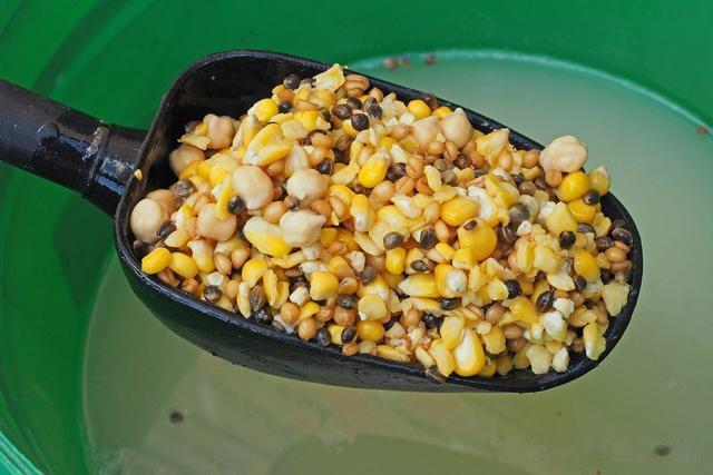 许多|世界各国钓手齐聚欧洲比钓鱼，各种钓大鱼策略全解析！