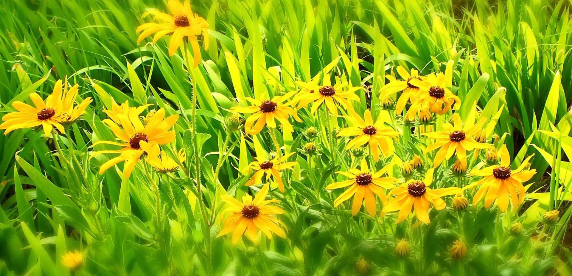 |三个人生道理,送给毕业季的你!