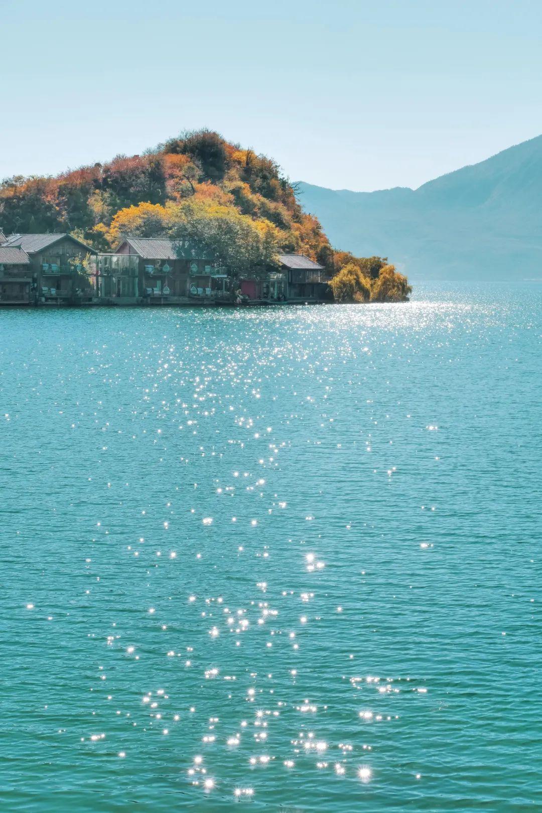 云南|十月最佳旅行地非它莫属，看银杏逛古城吃美食，现在去正好