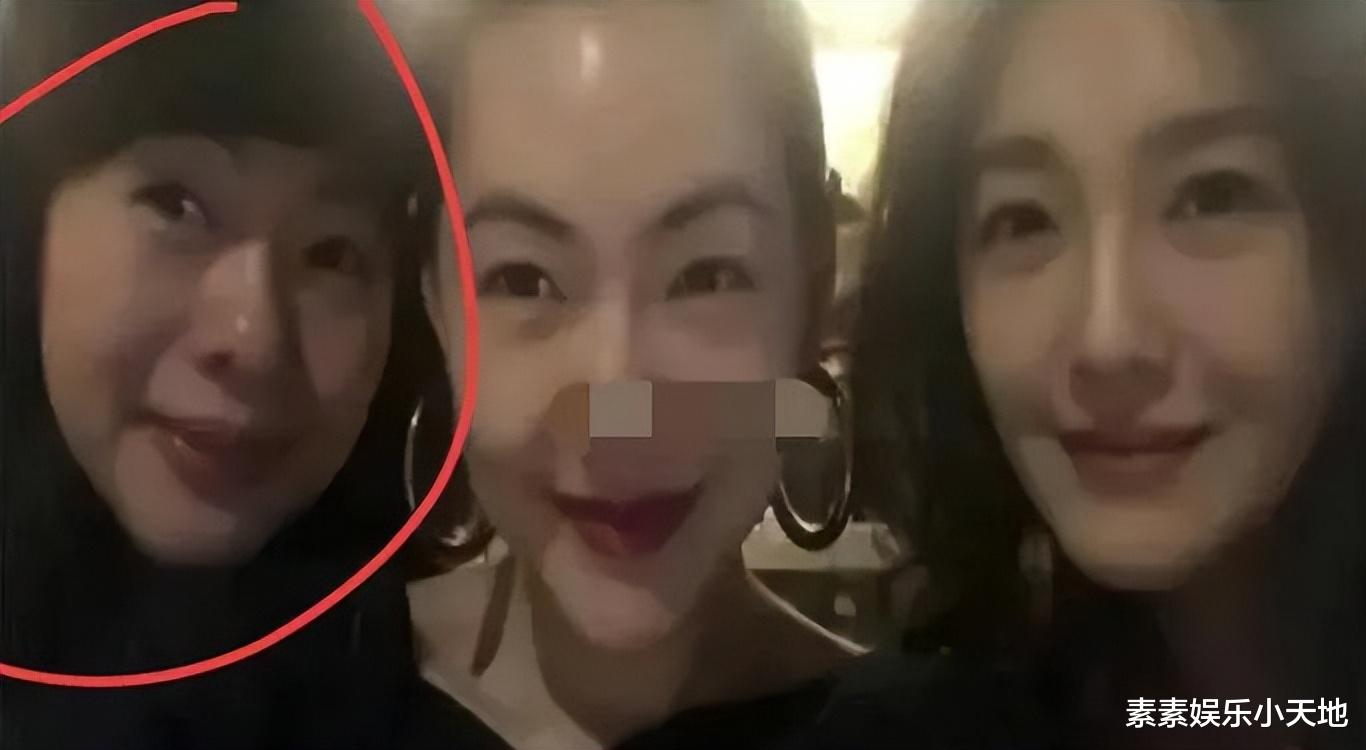 大S|大S的实锤来了，18年和具俊晔一起吃饭的是她亲姐徐熙娴