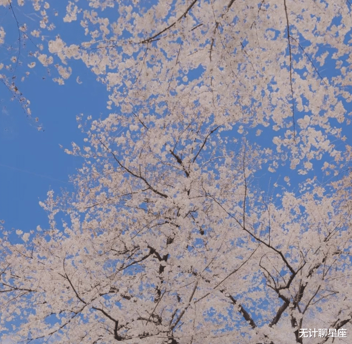 运势|未来三年，4个星座，活得很精彩，总在享受生活，逍遥又快乐