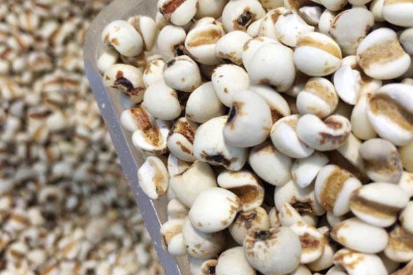 米饭 减肥就不能吃米饭了？老实说，以下几种主食，吃多了也不易发胖