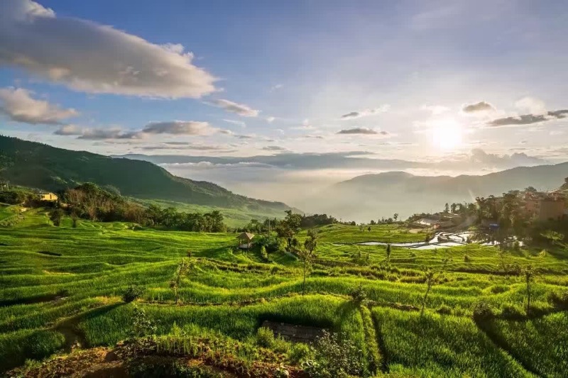 梯田|夏日“凉”方:热热热!有一种避暑叫躲进山里住