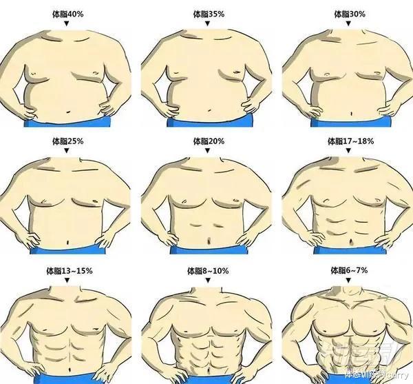 老年病|增肌不只卷腹！张晋人鱼线胜过彭于晏，3个最实用侧腹训练是关键