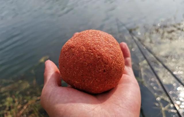 饵料|钓鱼人越来越“累”了!摒弃错误观念,才能重新找回垂钓乐趣