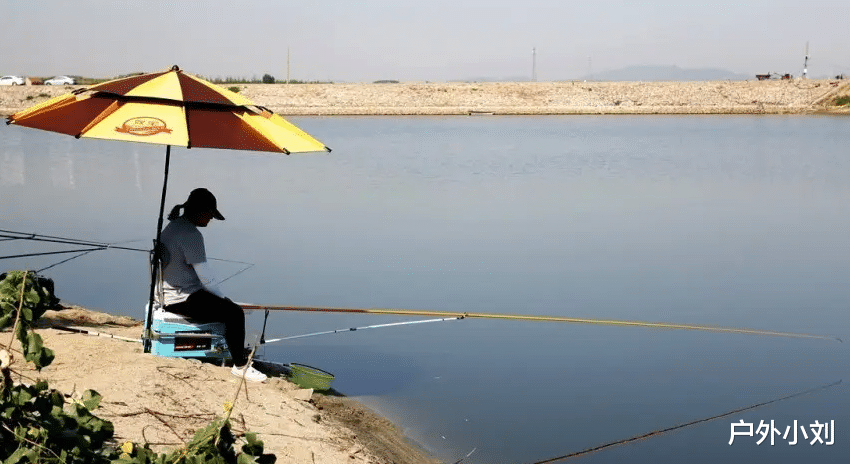 鲢鳙|高温正适合钓鲢鳙,鲢鳙的垂钓方法总结