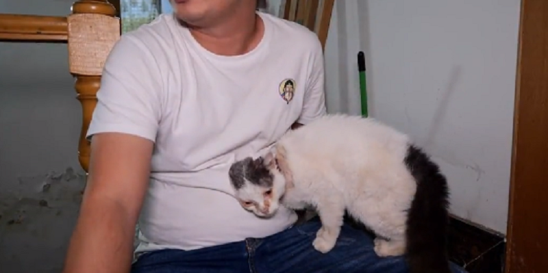 第一眼看到小哥，它就选择无条件地相信，可能它也知道，小哥是它最后的依靠