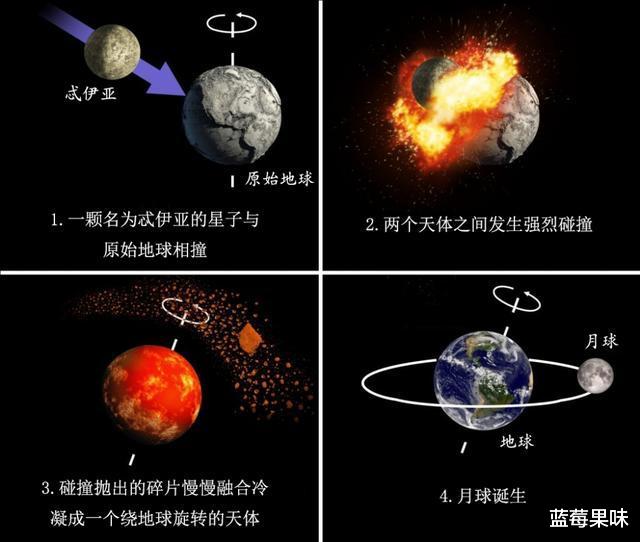 像人类这样高智慧生物出现，是偶然现象吗？对于宇宙来说有何意义