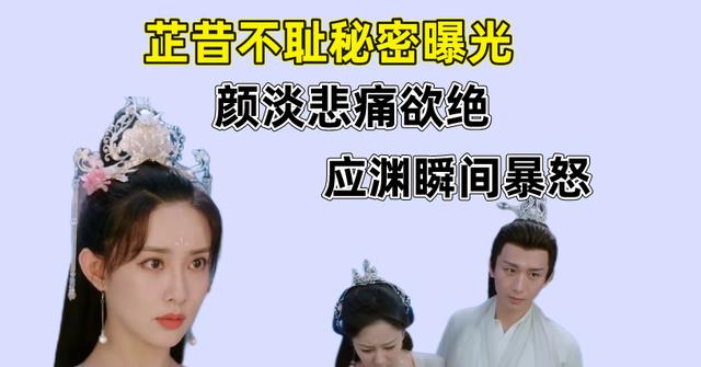 姐姐|沉香如屑:芷昔不耻秘密曝光,颜淡悲痛欲绝