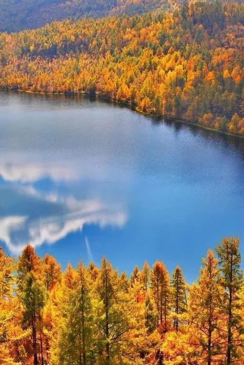 阿尔山|不用去北欧和奈良,9月内蒙才是初秋的童话