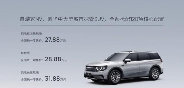 30万元高端市场的新选手,自游家NV有何特别之处?