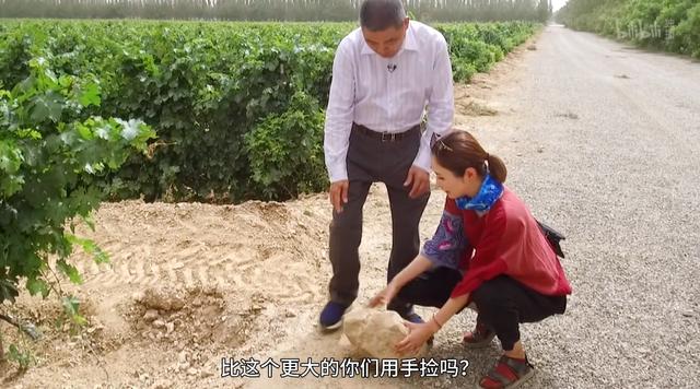 陈贝儿|又一香港艺人被央视点名了