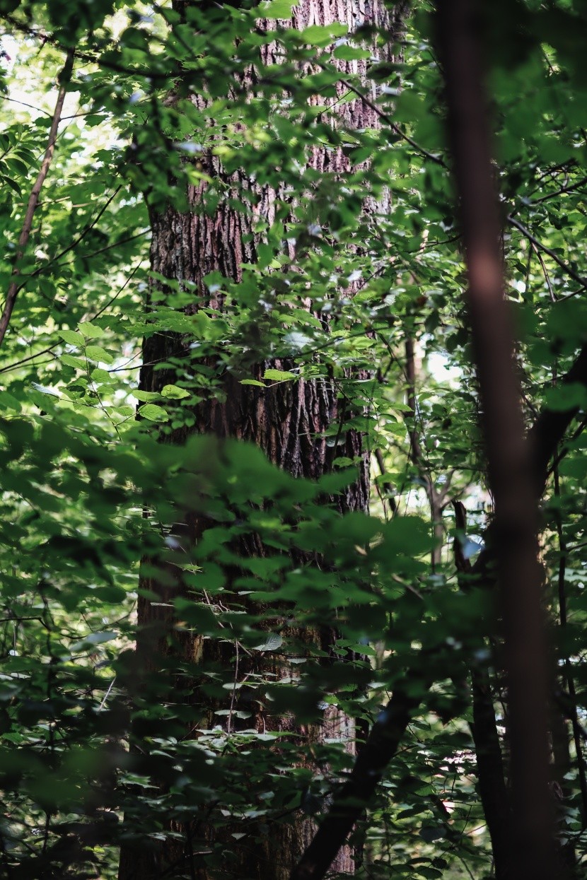 处女座|处女座生气不好哄，性格耿直，对自己的要求也比较高