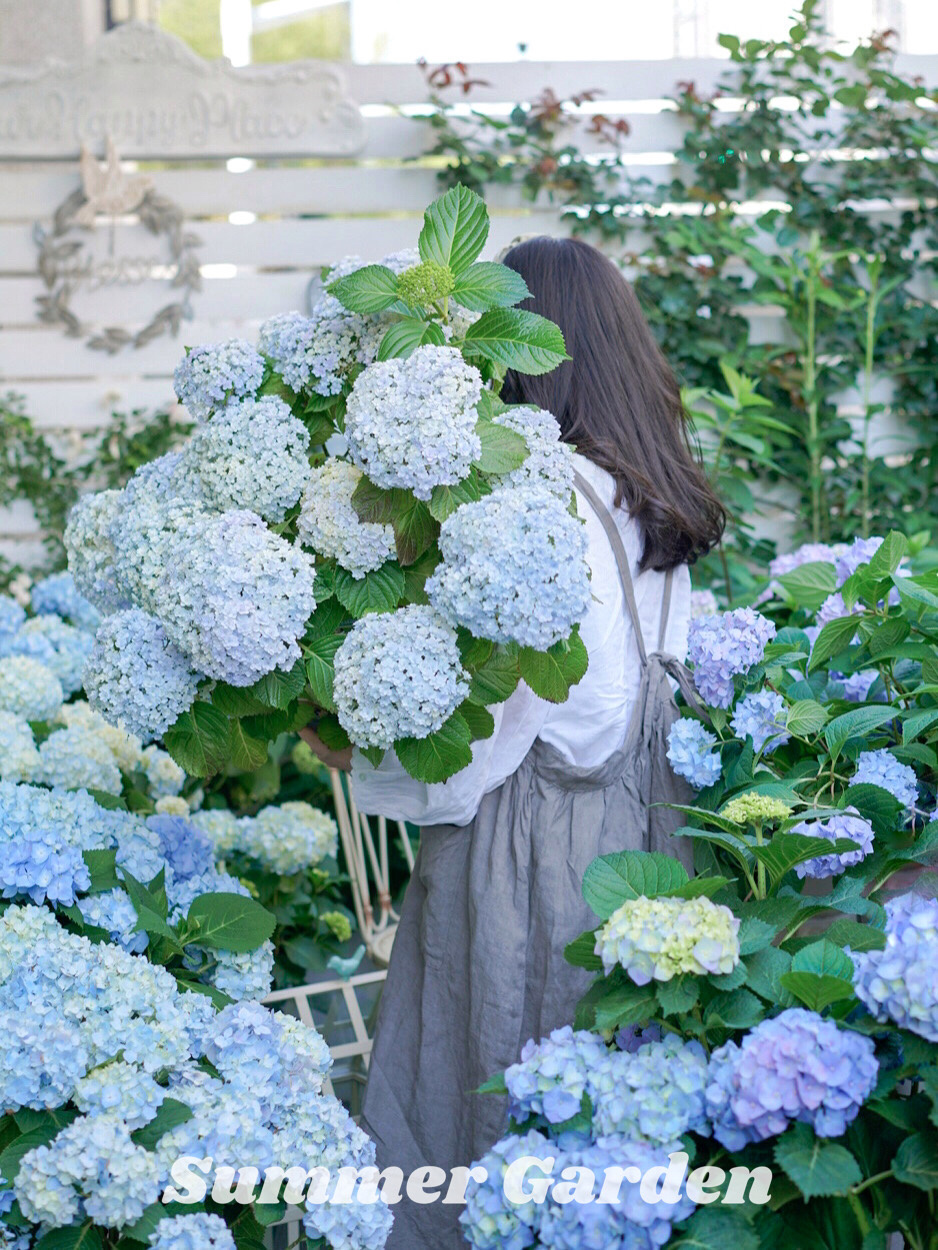 20㎡一楼小院,DIY打造杂货花园,倒腾了一年时间,如今又仙又美