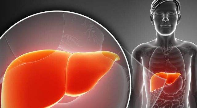 蛋白质|中医：自查“肝”好不好，这5点为主要